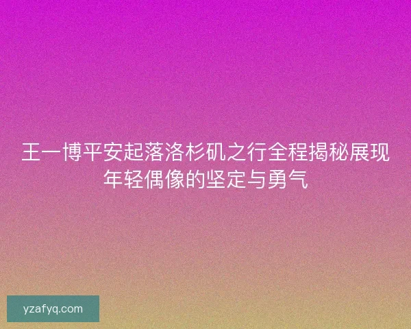 王一博平安起落洛杉矶之行全程揭秘展现年轻偶像的坚定与勇气
